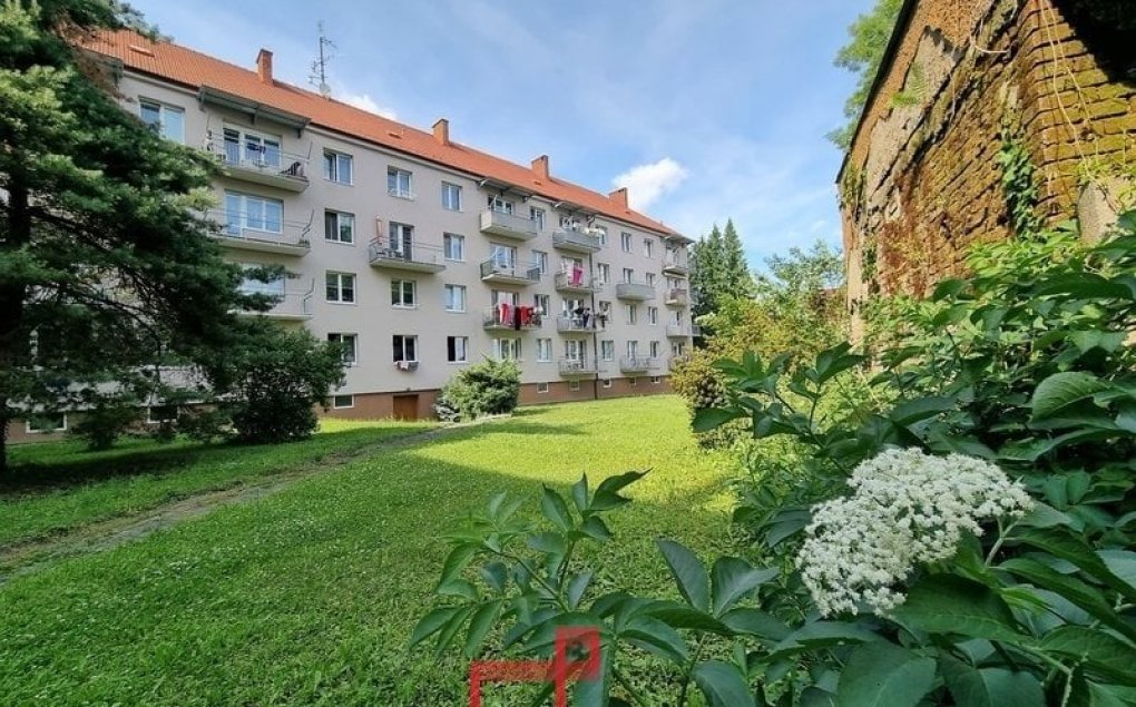 Byt 1+1 k pronájmu, Olomouc Růženy Svobodové, 36 m²