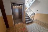 Byt 1+1 k pronájmu, Olomouc Družební, 37 m²