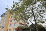 Byt 2+kk na prodej, Olomouc Handkeho, 45 m²