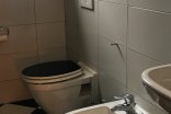 Rodinný dům na prodej, Počenice-Tetětice, 194 m²