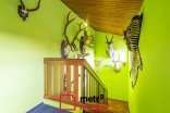 Restaurace k pronájmu, Velký Újezd Olomoucká 1.217 m²