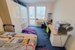 Byt 1+1 k pronájmu, Olomouc U cukrovaru, 35 m²