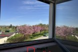 Rodinný dům na prodej, Brodek u Prostějova Vilapark, 155 m²