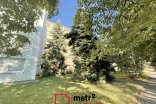 Byt 3+1 k pronájmu, Olomouc U cukrovaru, 74 m²