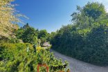 Rodinný dům na prodej, Bílovice nad Svitavou Mladova, 109 m²