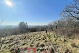Zahrada na prodej, Samotišky 2.493 m²