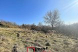 Zahrada na prodej, Samotišky 2.493 m²