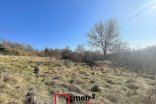 Zahrada na prodej, Samotišky 2.493 m²