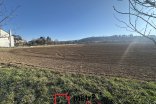 Pole na prodej, Dolany 18.581 m²