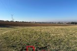 Pole na prodej, Dolany 18.581 m²