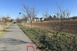 Pole na prodej, Dolany 18.581 m²