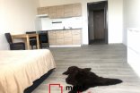 Byt 1+kk k pronájmu, Olomouc Voskovcova, 38 m²