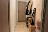 Byt 1+kk k pronájmu, Olomouc U cukrovaru, 50 m²