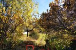 Rodinný dům na prodej, Grygov Týnecká, 108 m²