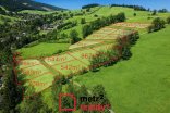 Pozemek k bydlení na prodej, Staré Město Hynčice pod Sušinou, 886 m²