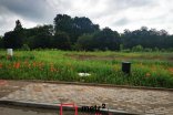 Pozemek k bydlení na prodej, Uničov, 772 m²