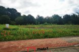 Pozemek k bydlení na prodej, Uničov, 772 m²