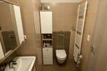 Byt 1+kk k pronájmu, Olomouc Aloise Rašína, 30 m²