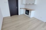 Byt 1+kk k pronájmu, Olomouc Třída Jiřího Pelikána, 28 m²