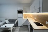 Byt 1+kk k pronájmu, Olomouc Wolkerova, 29 m²