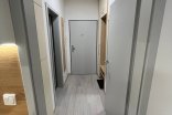 Byt 1+kk k pronájmu, Olomouc Wolkerova, 29 m²