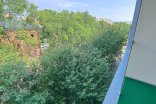 Byt 1+kk k pronájmu, Olomouc Kavaleristů, 25 m²