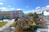 Rodinný dům na prodej, Olomouc Štursova, 387 m²
