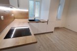 Byt 1+1 k pronájmu, Olomouc Dobrovského, 50 m²