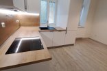 Byt 1+1 k pronájmu, Olomouc Dobrovského, 50 m²