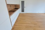Byt 1+kk k pronájmu, Olomouc Ostrovní, 36 m²