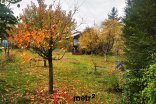 Chata na prodej, Olomouc, 16 m²