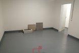 Byt 2+kk k pronájmu, Olomouc Hněvotínská, 74 m²