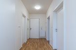 Byt 2+kk k pronájmu, Olomouc Dobrovského, 74 m²