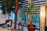 Byt 3+kk na prodej, Litovel Severní, 75 m²
