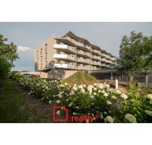 Byt 1+kk k pronájmu, Olomouc U solných mlýnů, 41 m²