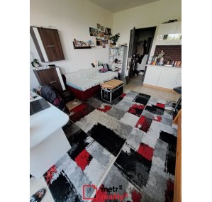 Byt 1+kk k pronájmu, Olomouc Novosadský dvůr, 31 m²