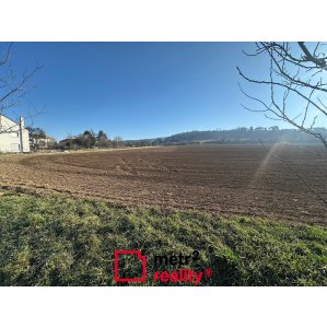 Pole na prodej, Dolany 18.581 m²
